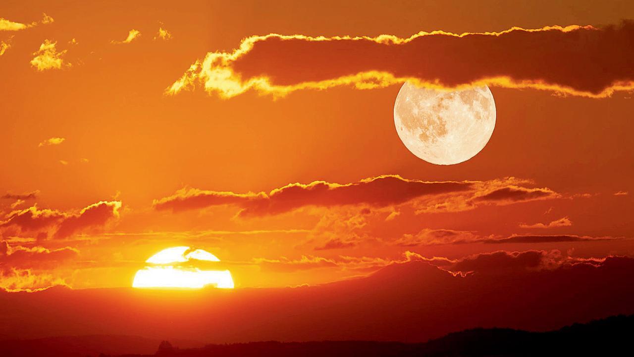 પ્રતીકાત્મક તસવીર