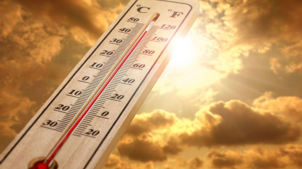 પ્રતીકાત્મક તસવીર (તસવીર સૌજન્ય : આઇસ્ટૉક)