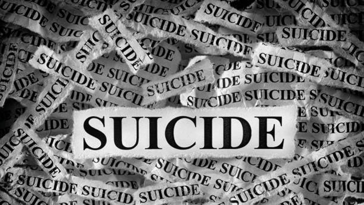 પ્રતીકાત્મક ફાઇલ તસવીર