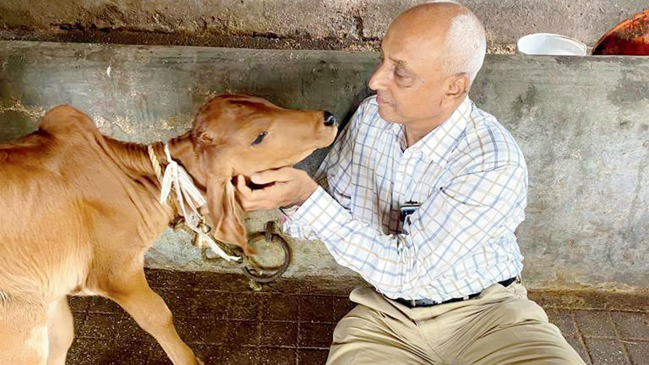 વિજય બધેકા