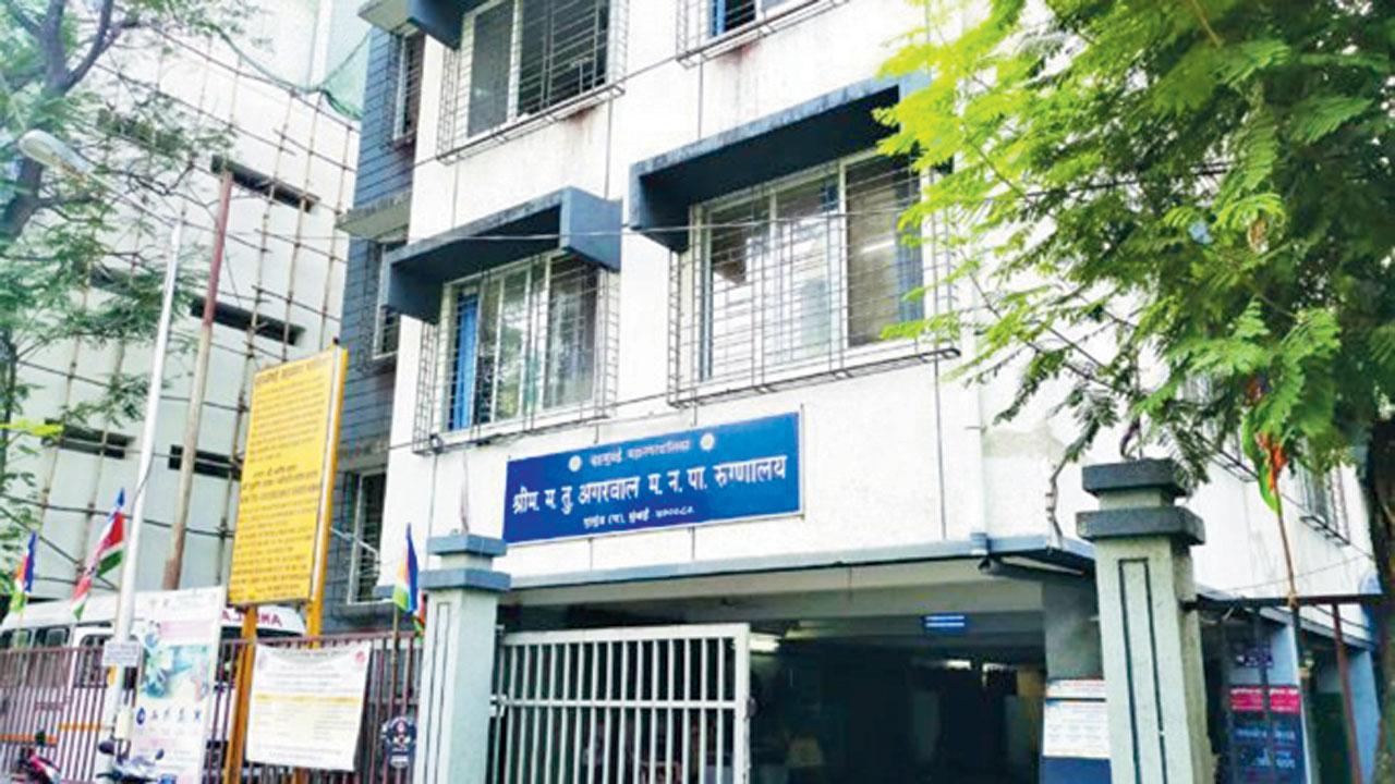 પ્રતીકાત્મક તસવીર