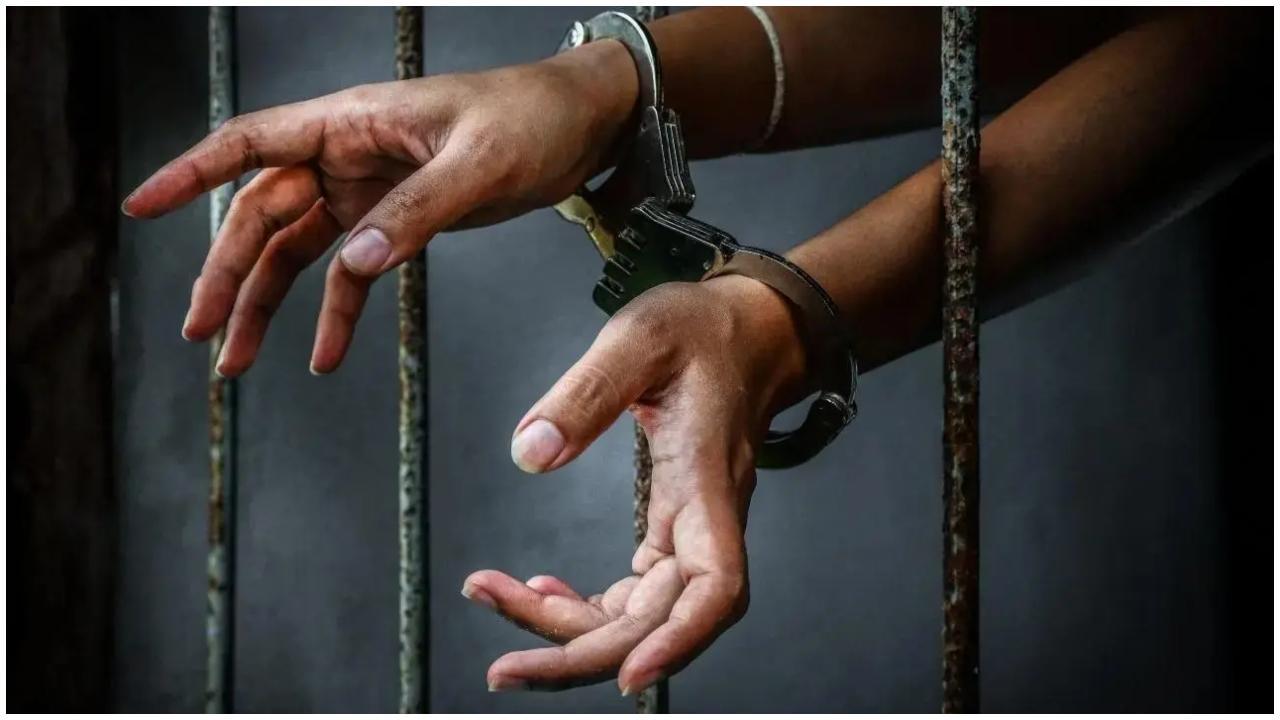 પ્રતીકાત્મક તસવીર