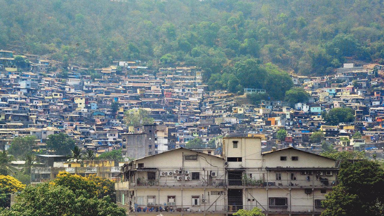 પ્રતીકાત્મક તસવીર