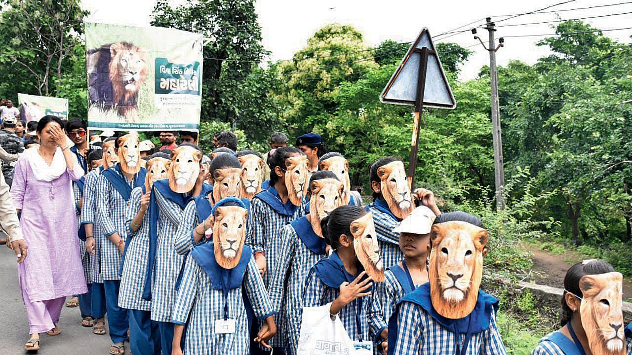 વિશ્વ સિંહ દિવસ નિમિત્તે સાસણ ગીરમાં રૅલી યોજાઈ હતી, જેમાં વિદ્યાર્થીઓ સિંહના માસ્ક પહેરીને આવ્યા હતા