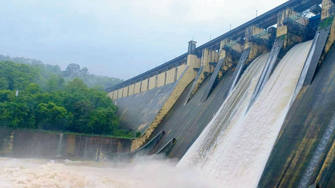 ફાઇલ તસવીર