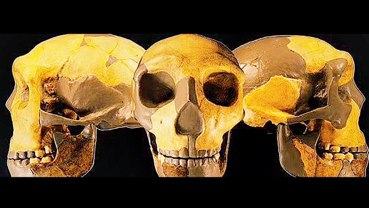 Ancient Skull Found in China Is Unlike Any Human Seen Before ...