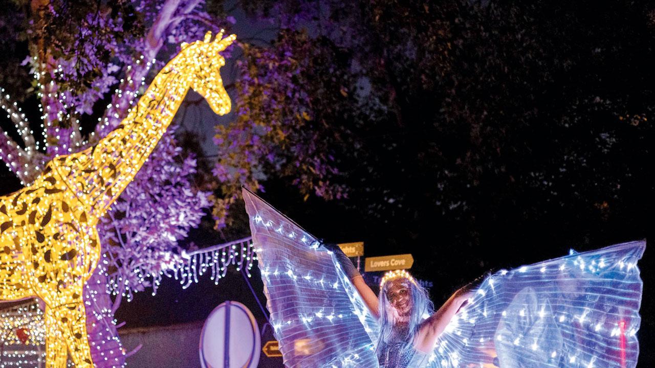 રોશન થયું ઍનિમલ કિંગડમ