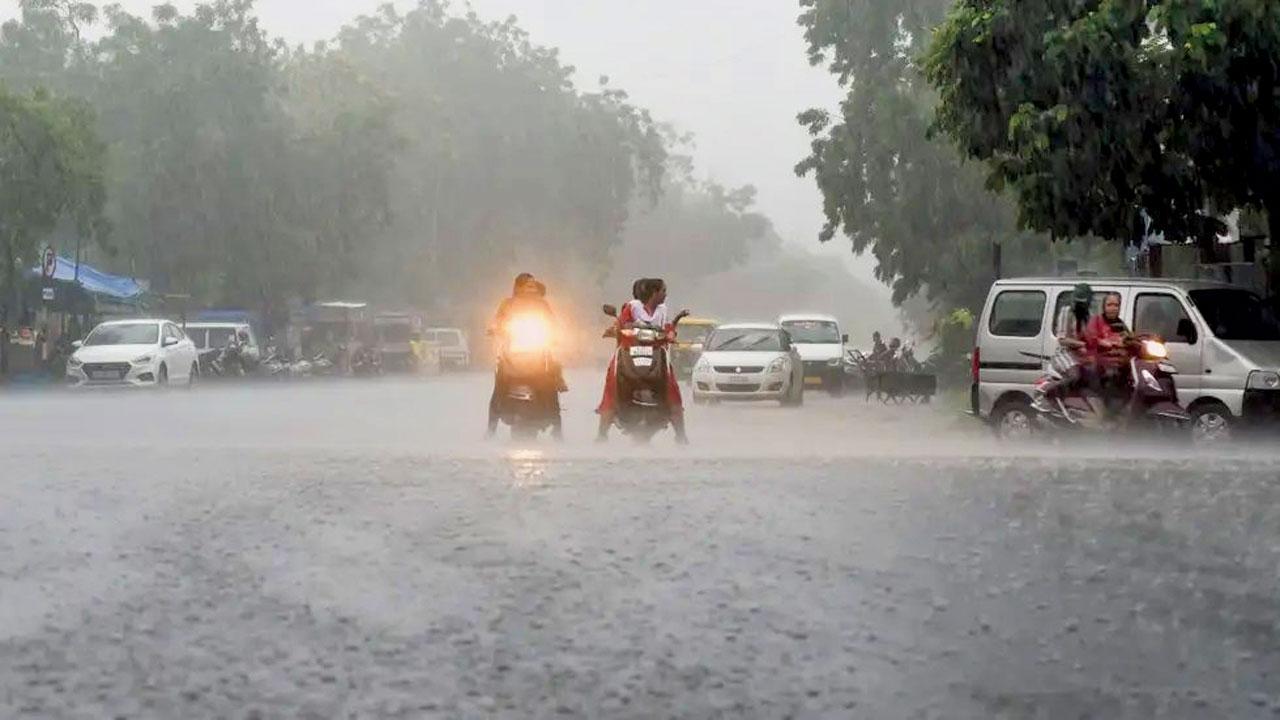 ફાઇલ તસવીર