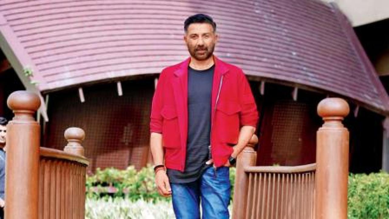 સની દેઓલ