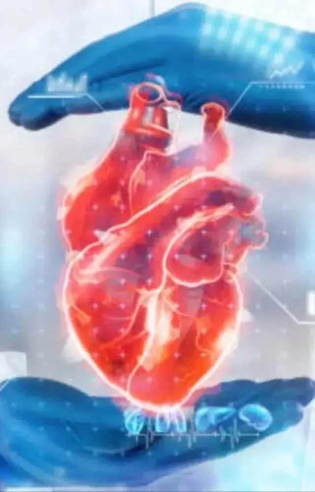 હૃદય રોગની સારવારમાં AI કઈ રીતે મદદગાર?