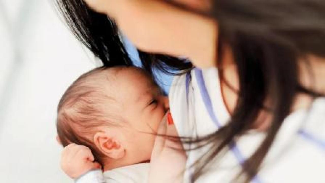 પ્રતીકાત્મક તસવીર 