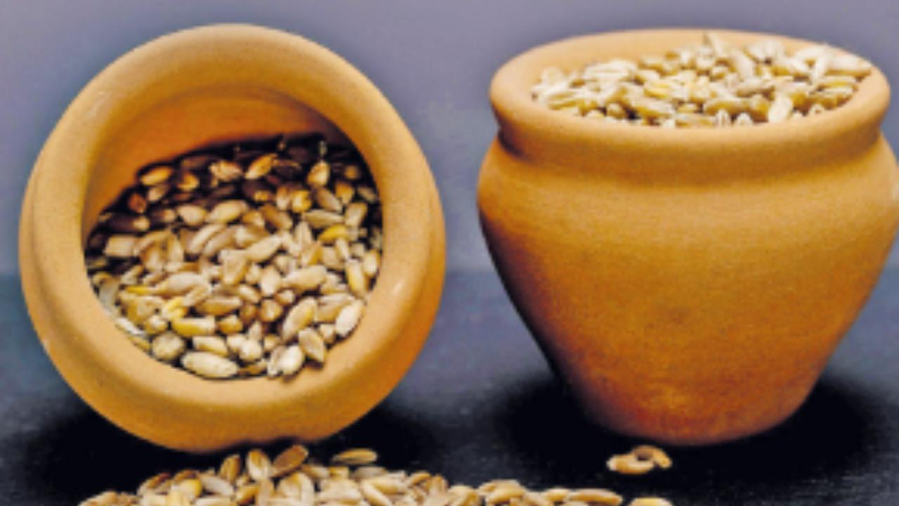 પ્રતીકાત્મક તસવીર 
