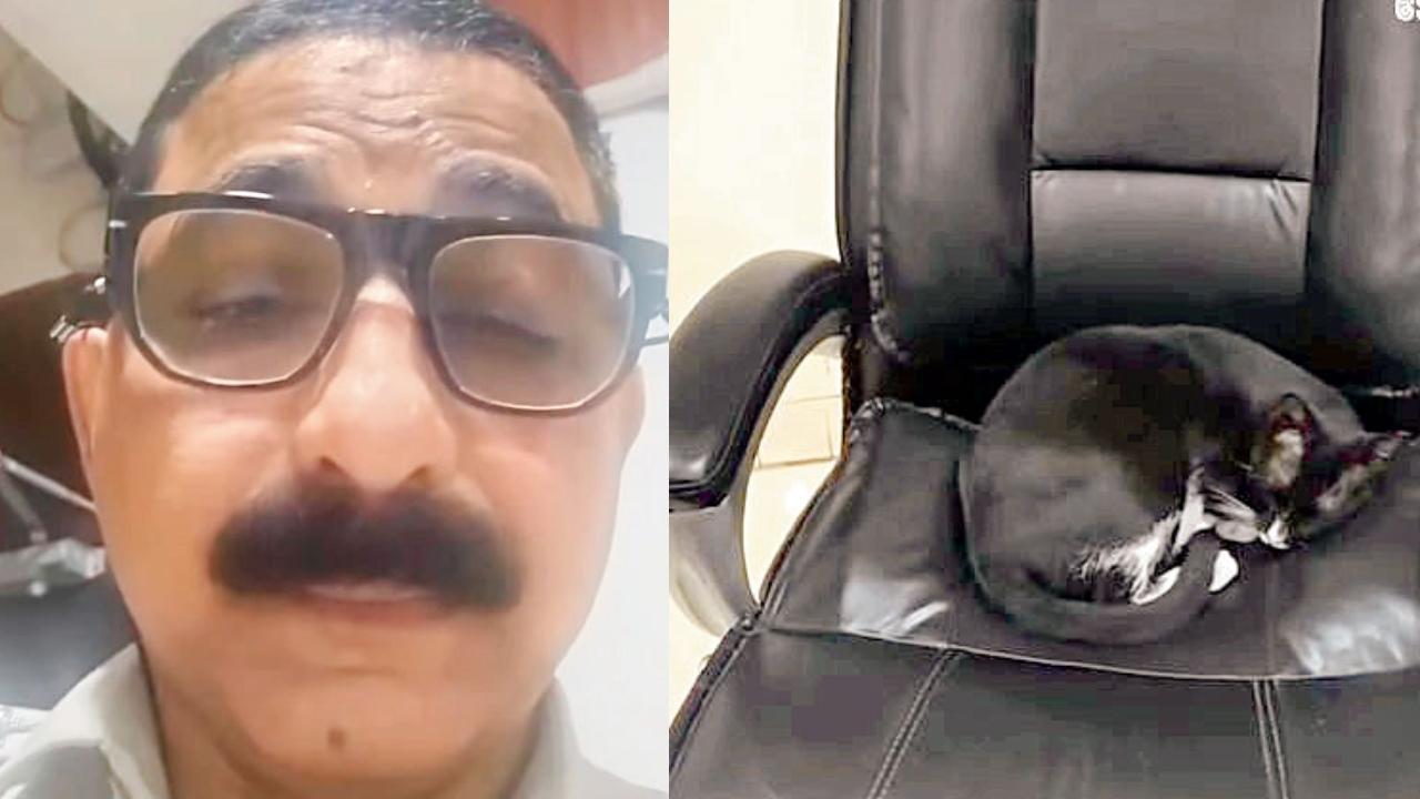 તસવીર સૌજન્ય : સોશ્યલ મીડિયા