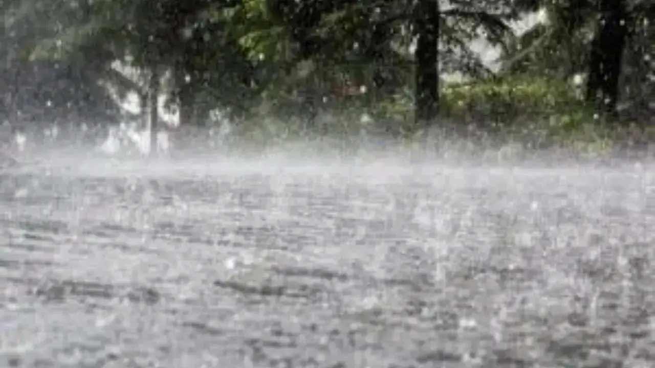 વરસાદી માહોલની પ્રતીકાત્મક તસવીર