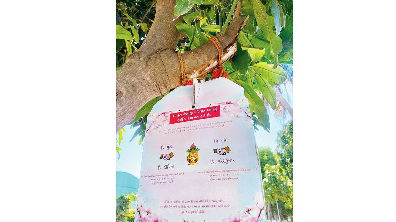 મુકેશ માળીની પક્ષીઘર જેવી કંકોતરી.