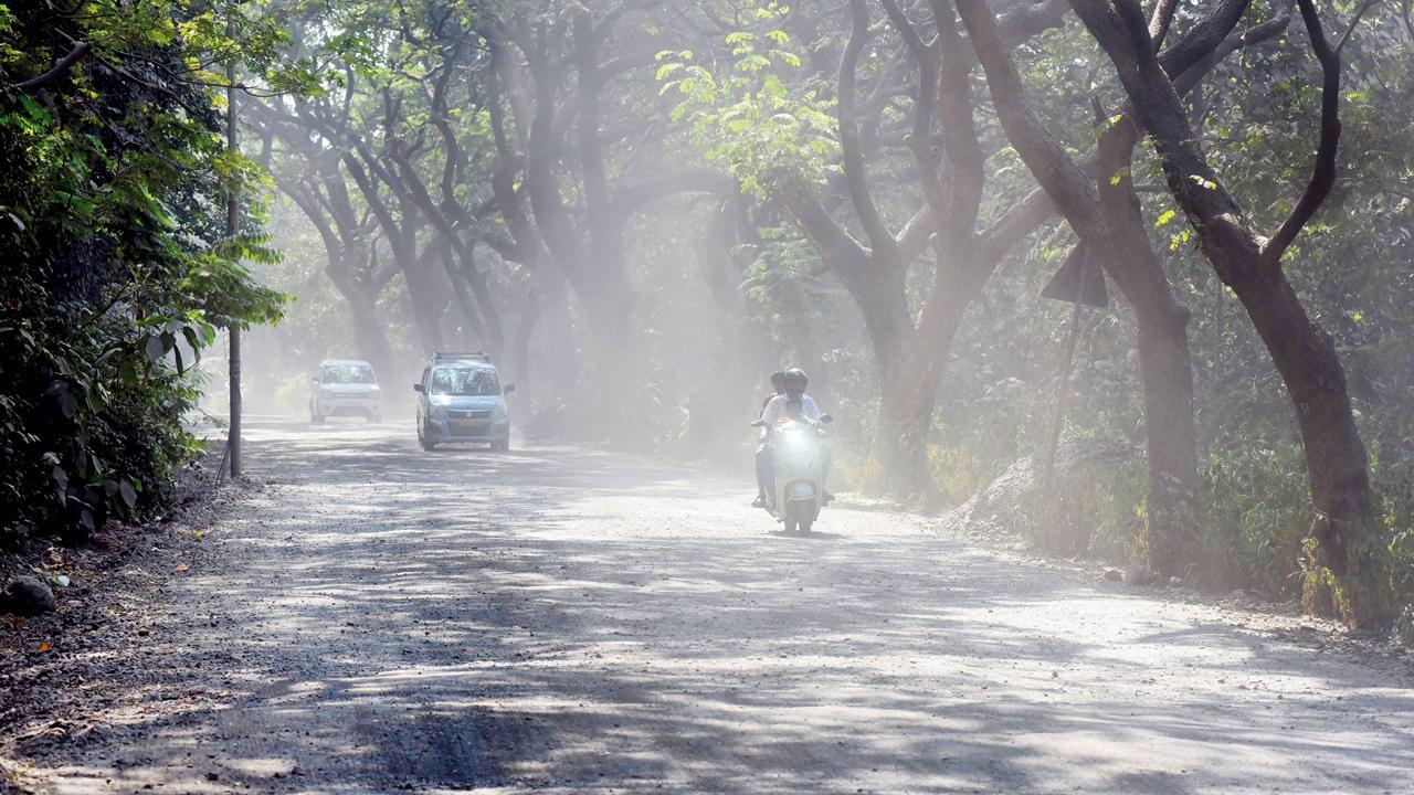ગોરેગામમાં આરે કૉલોની ખાતે કન્સ્ટ્રક્શનના કામને કારણે જામેલી ધૂળ દેખાઈ રહી છે. બીએમસી આવા વિસ્તારોમાં ટૅન્કર સાથે કામગીરી હાથ ધરશે