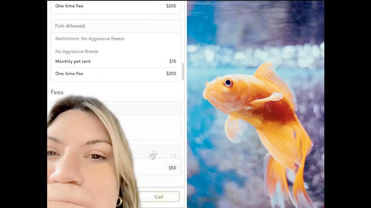 મકાનમાલિકે ગોલ્ડફિશ રાખવા બદલ ભાડૂત પાસેથી લીધા એક્સ્ટ્રા ૧૬,૦૦૦ રૂપિયા