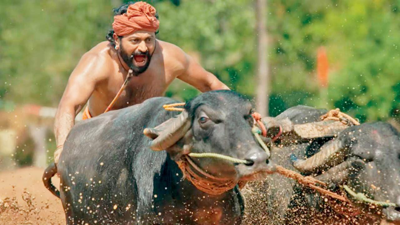 રિષભ શેટ્ટી