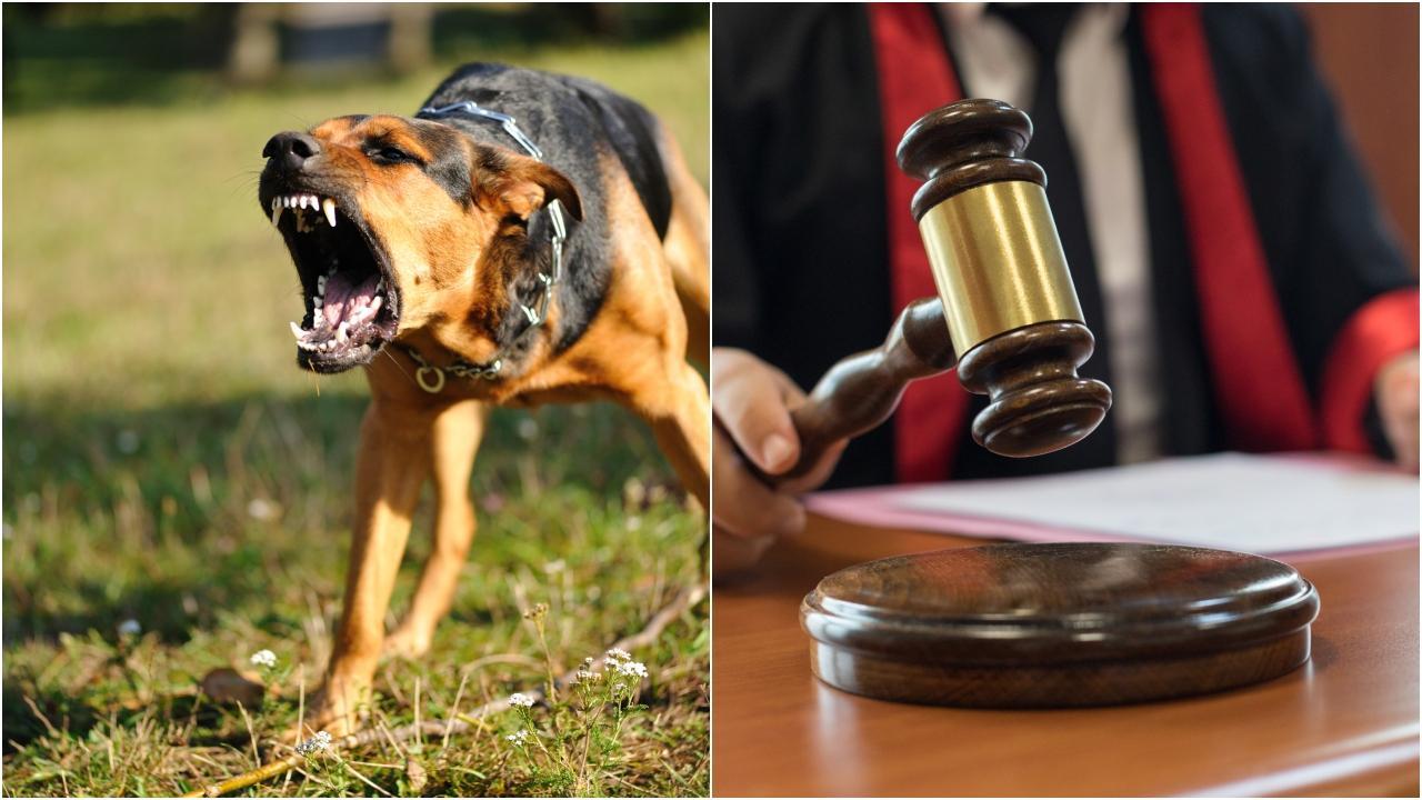 પ્રતીકાત્મક તસવીર (તસવીર: આઈસ્ટોક)