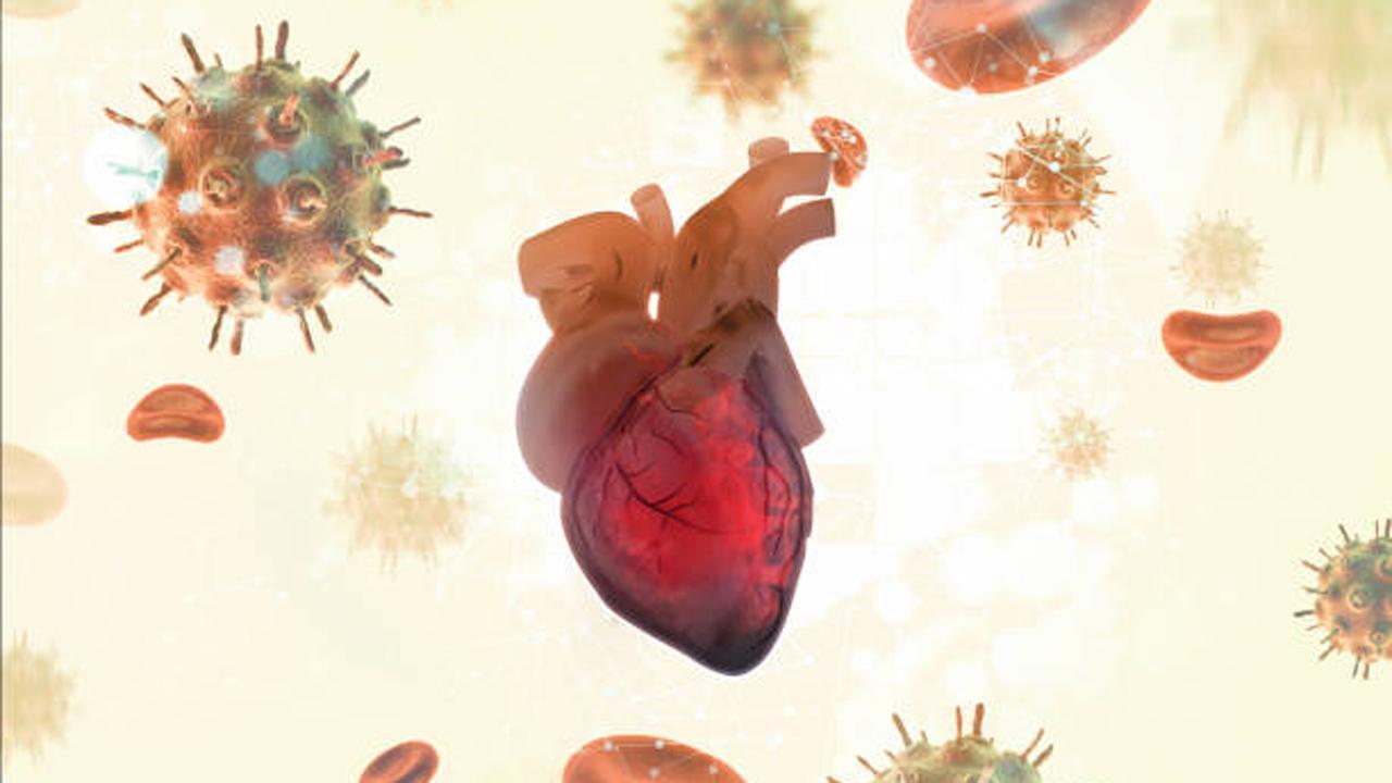 પ્રતીકાત્મક તસવીર (સૌજન્ય આઇસ્ટૉક)