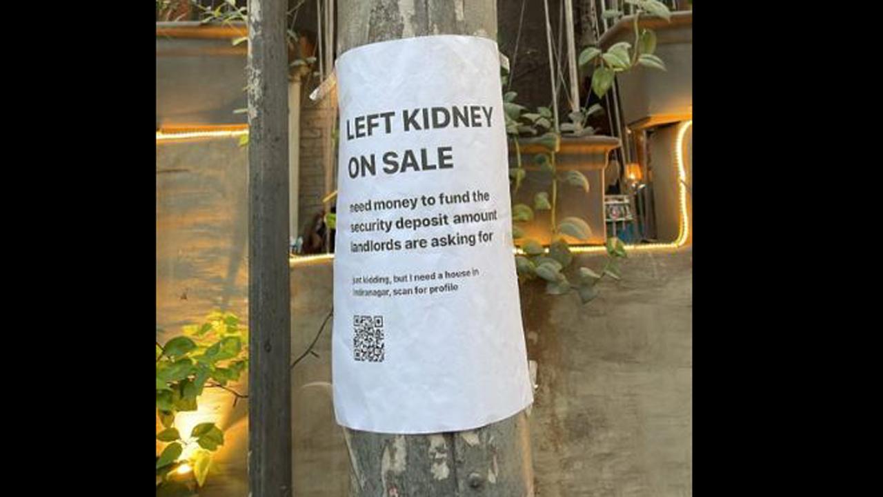 તસવીર સૌજન્ય : સોશ્યલ મીડિયા