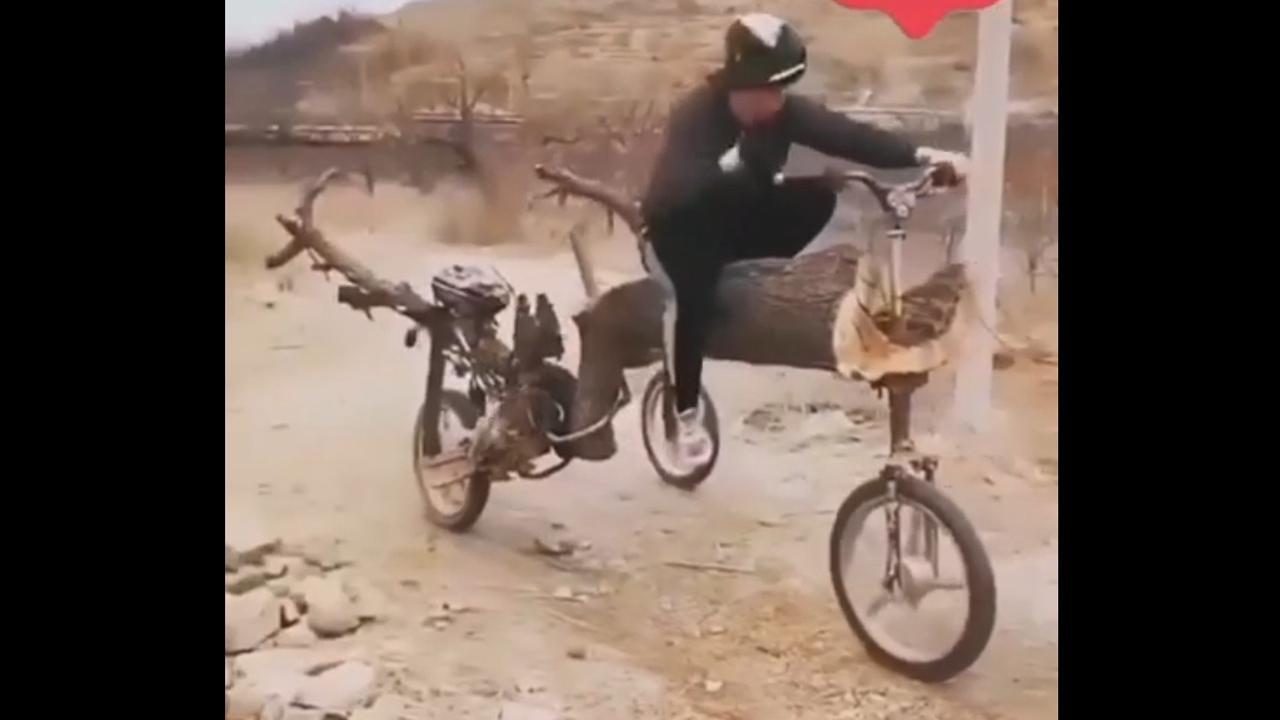 વૃક્ષના થડમાંથી બનાવી દીધું વેહિકલ