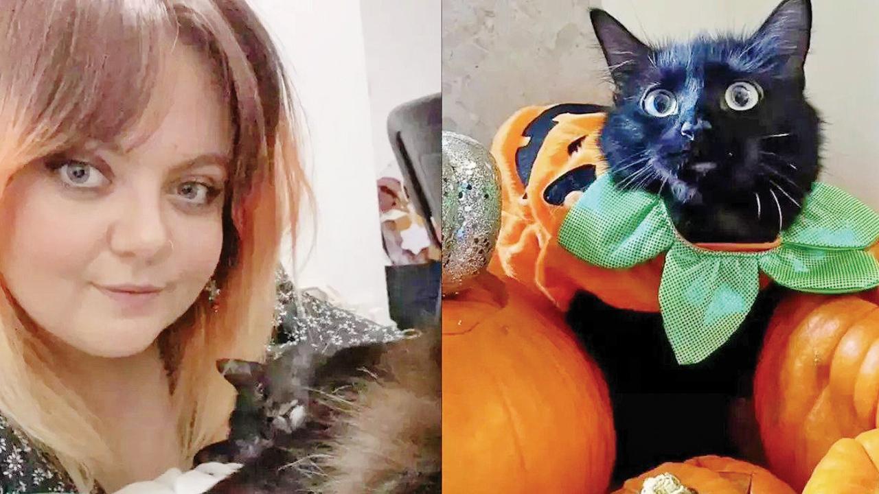 સારવાર પાછળ સાત લાખ ખર્ચ્યા બાદ માલિકને ખબર પડી કે બિલાડીની આ વિચિત્ર આદત છે