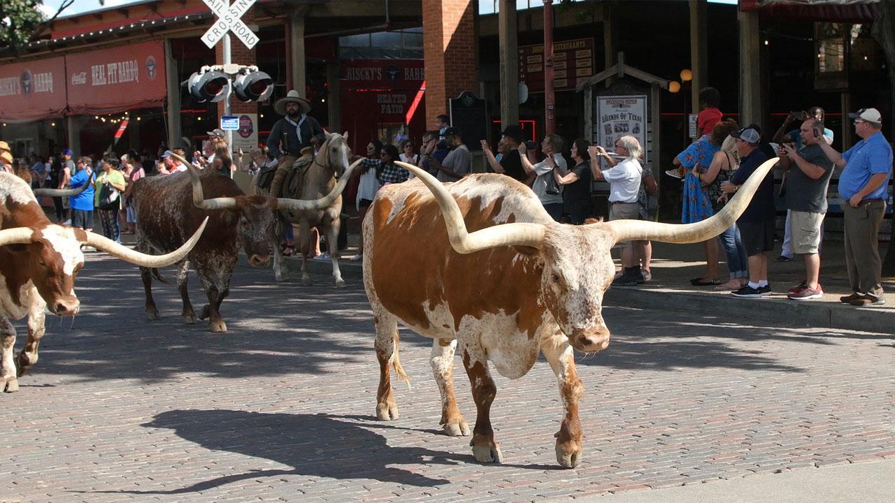 ફોર્ટ વર્થ, ટેક્સાસ