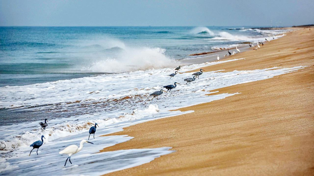 મુંબઈથી ગાડી આવી રે... હો દરિયાલાલા...