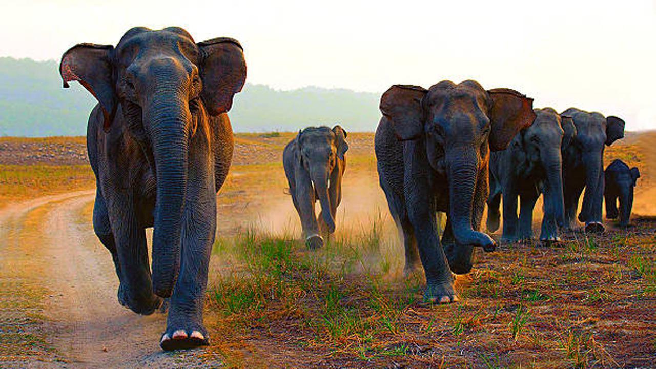 પ્રતીકાત્મક તસવીર (સૌજન્ય આઇસ્ટૉક)