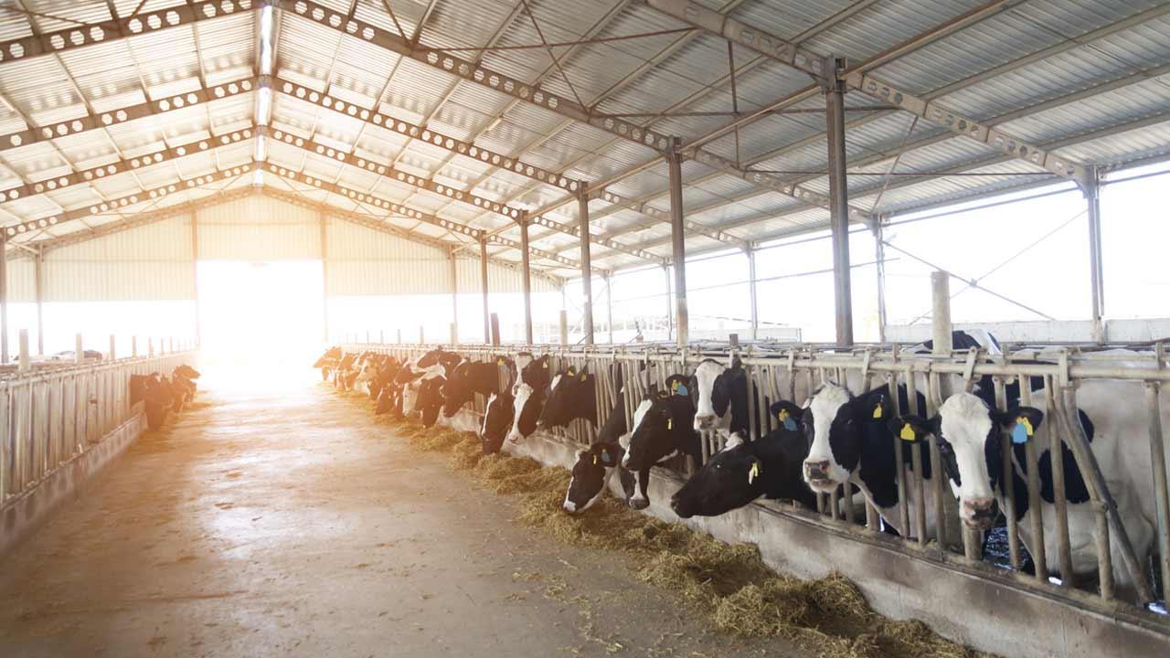 પ્રતીકાત્મક તસવીર. તસવીર/આઈસ્ટોક