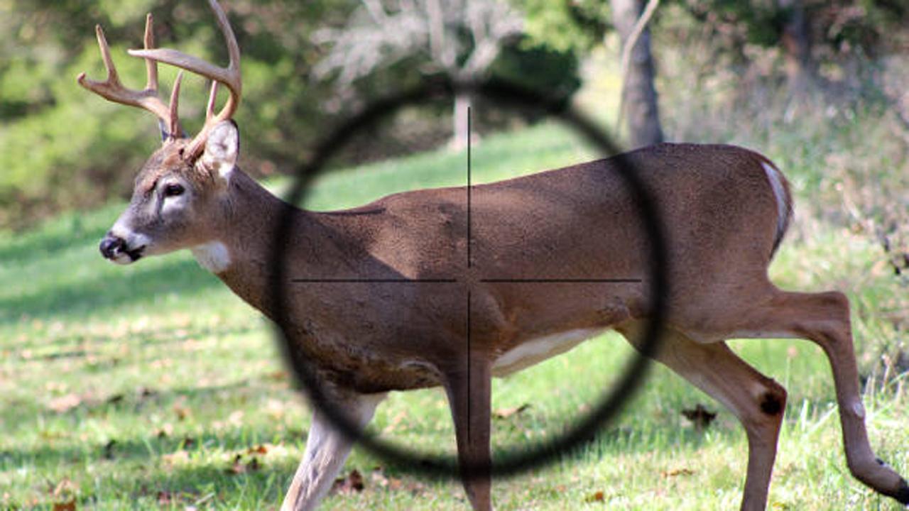 પ્રતીકાત્મક તસવીર (સૌજન્ય આઇસ્ટૉક)