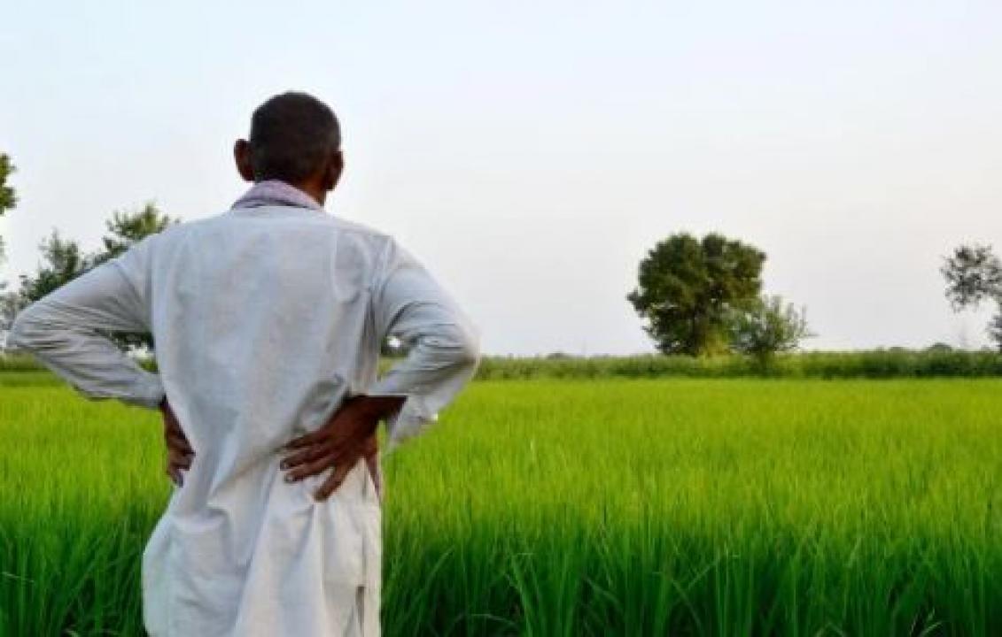 પ્રતીકાત્મક તસવીર