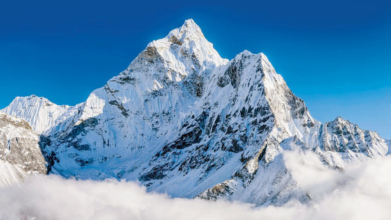 પ્રતીકાત્મક તસવીર