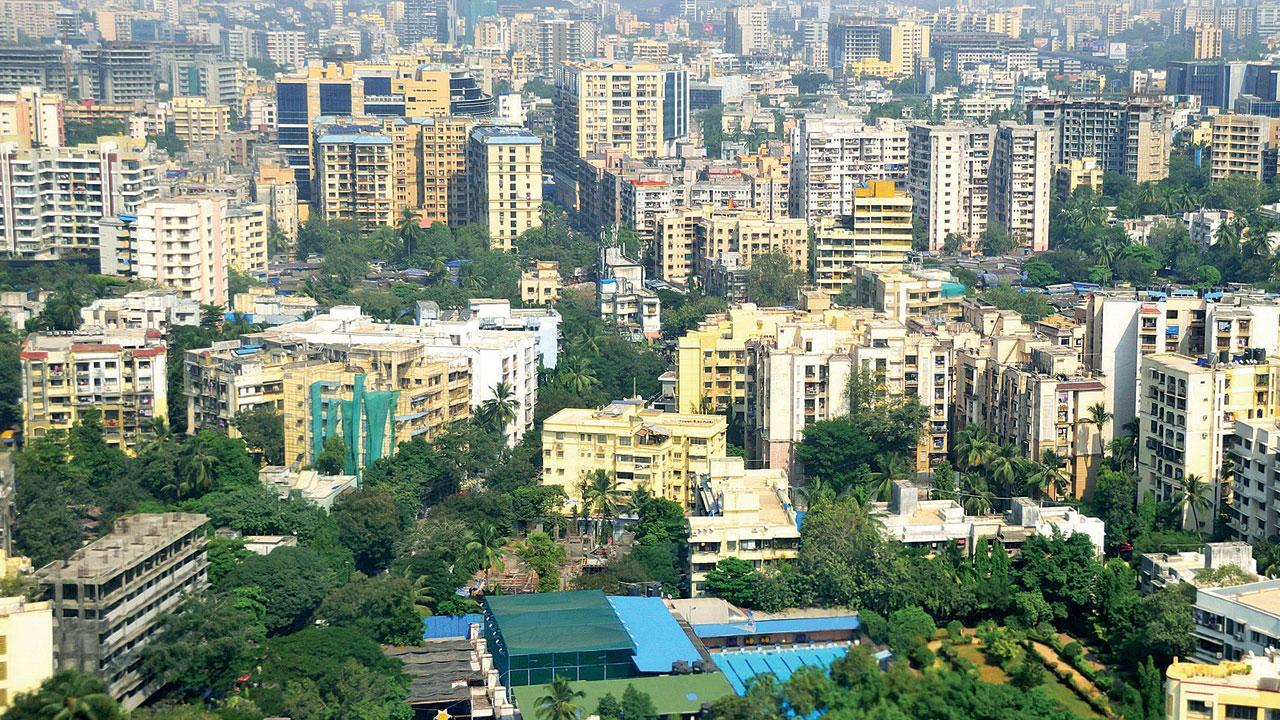 પ્રતીકાત્મક તસવીર