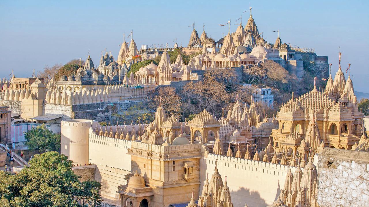 ફાઇલ તસવીર