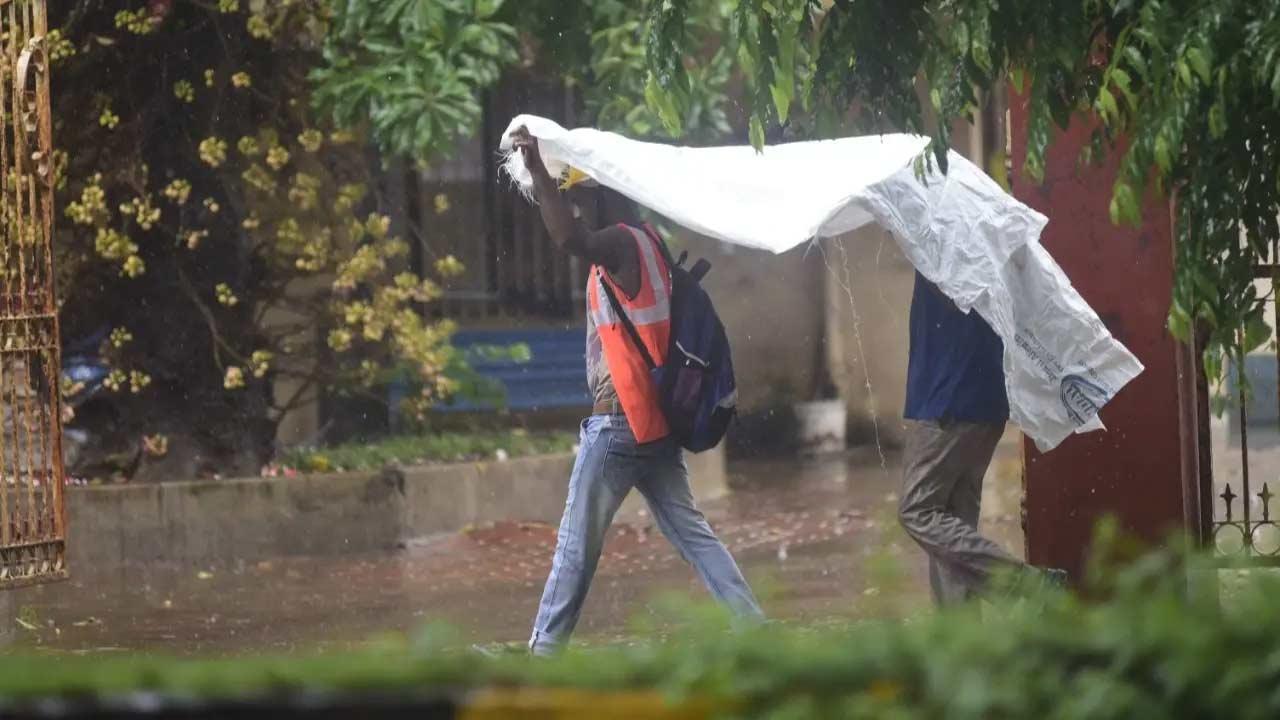 ફાઇલ તસવીર