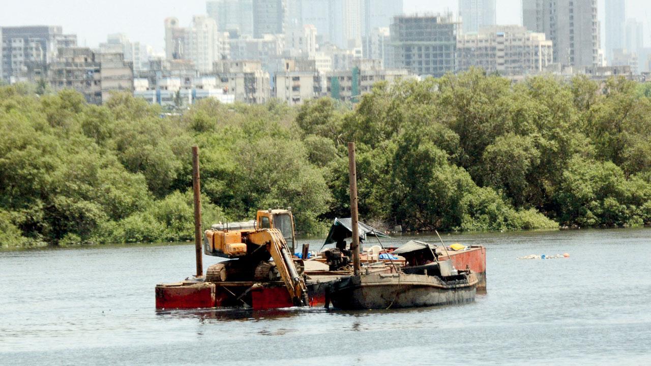 મીઠી નદીના ડિસિલ્ટિંગ પાછળ ખર્ચાયેલા પૈસાની ઉચ્ચ સ્તરીય તપાસ કરવામાં આવશે