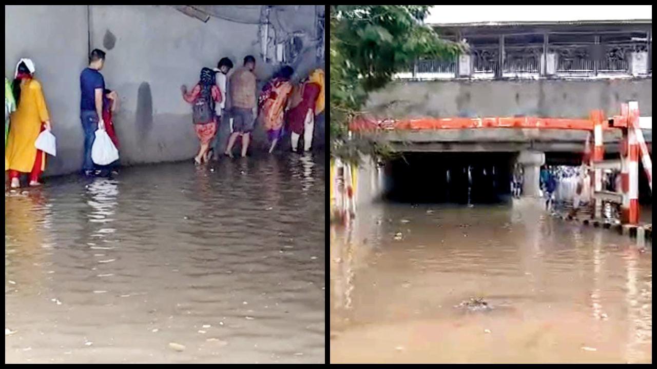 વડોદરાના અલકાપુરી ગરનાળામાં ભરાયેલાં વરસાદી પાણી.