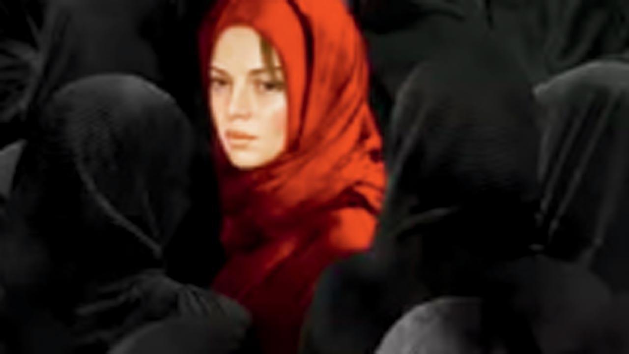 પ્રતીકાત્મક તસવીર