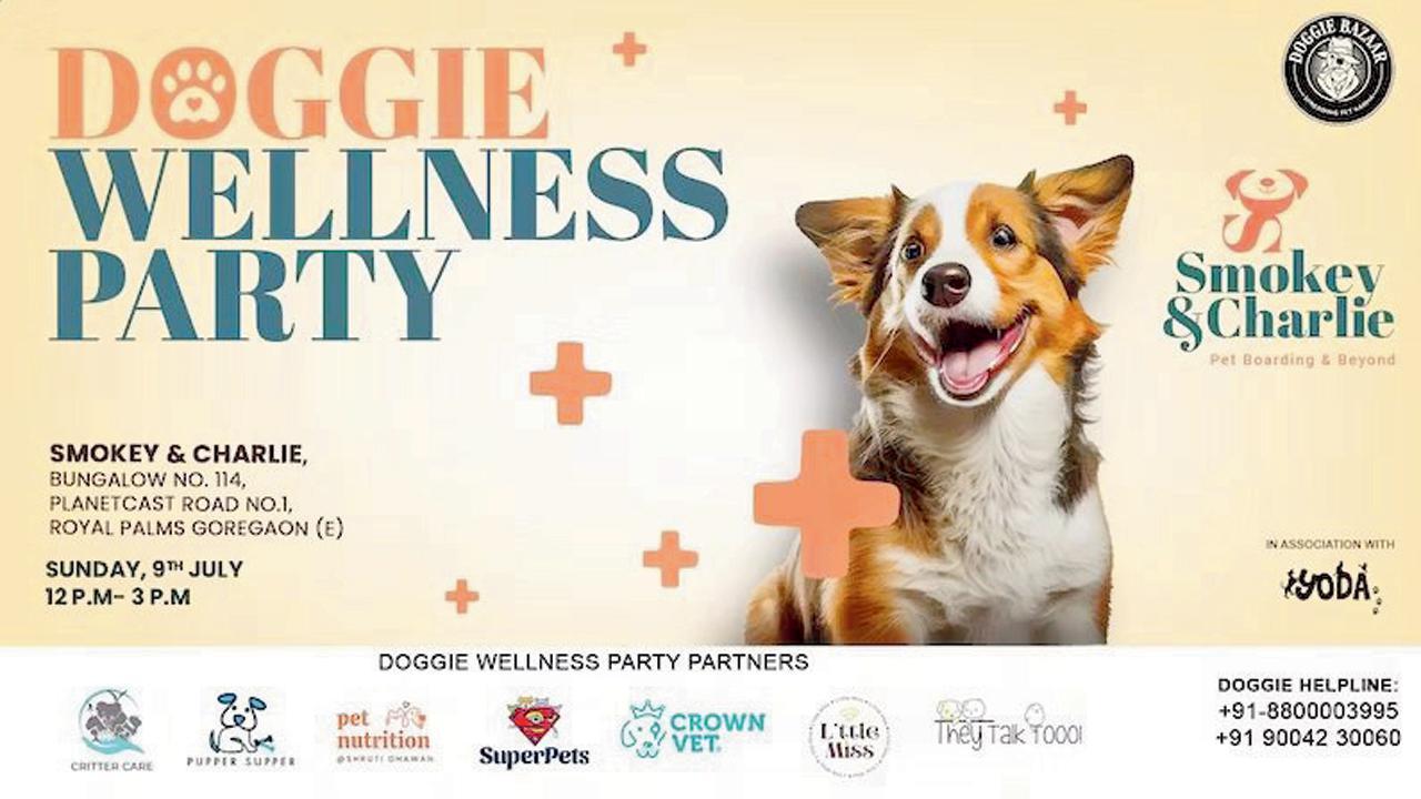 ડૉગી વેલનેસ પાર્ટી