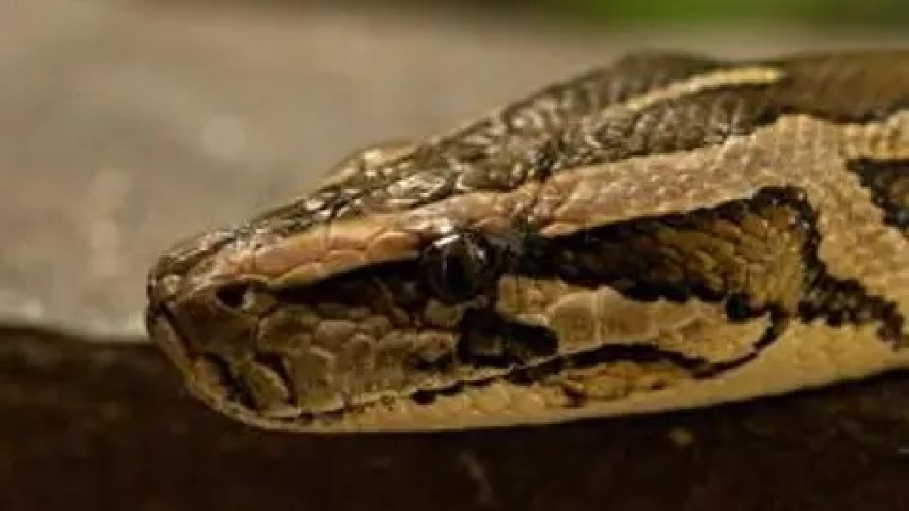 પ્રતીકાત્મક તસવીર સૌજન્ય : મિડ-ડે