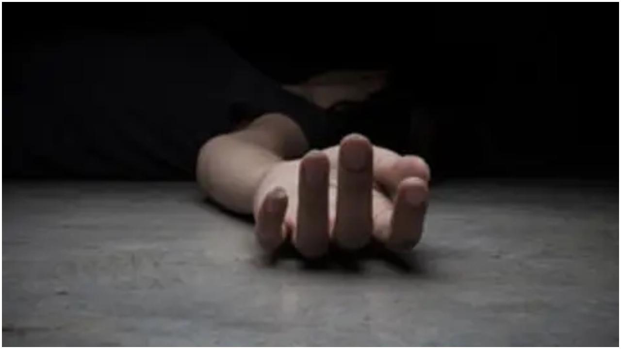 પ્રતીકાત્મક તસવીર