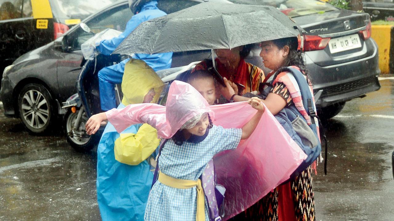 તસવીર : સૈય્યદ સમીર અબેદી