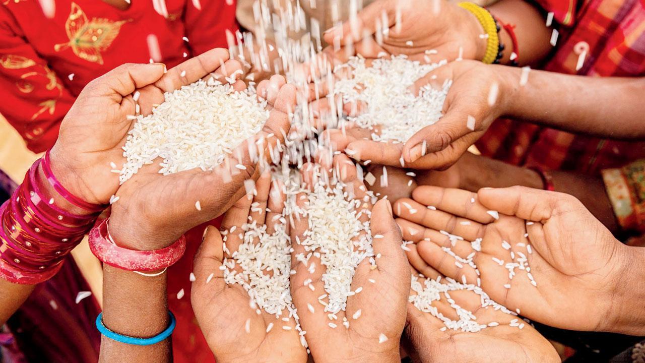 પ્રતીકાત્મક તસવીર