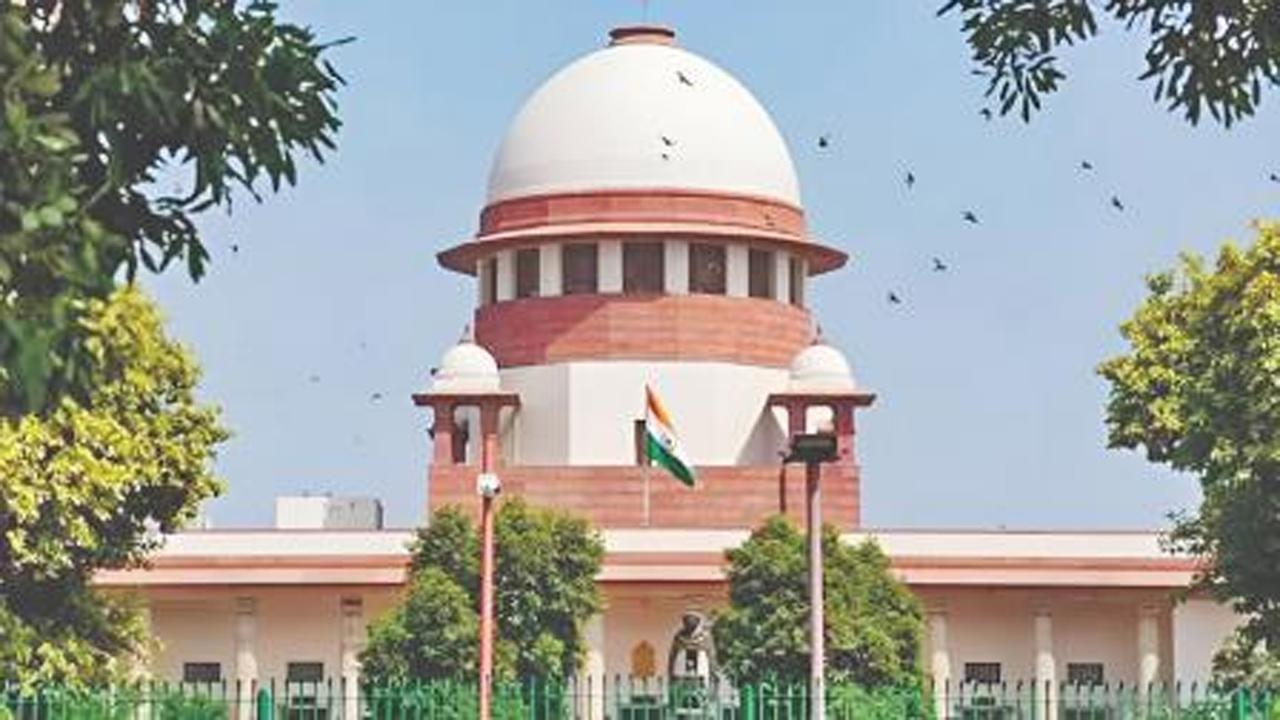 ફાઇલ તસવીર