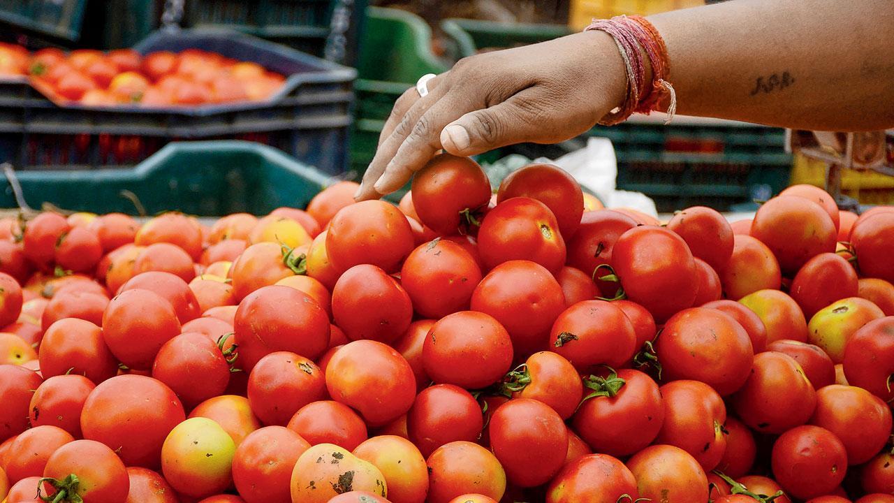 પ્રતીકાત્મક તસવીર