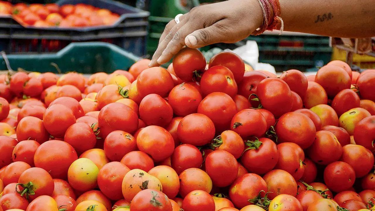 પ્રતીકાત્મક તસવીર