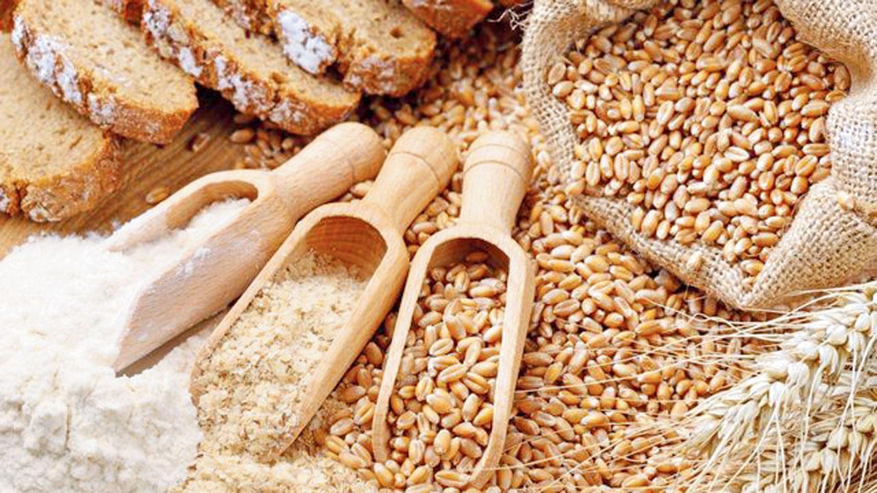 પ્રતીકાત્મક તસવીર