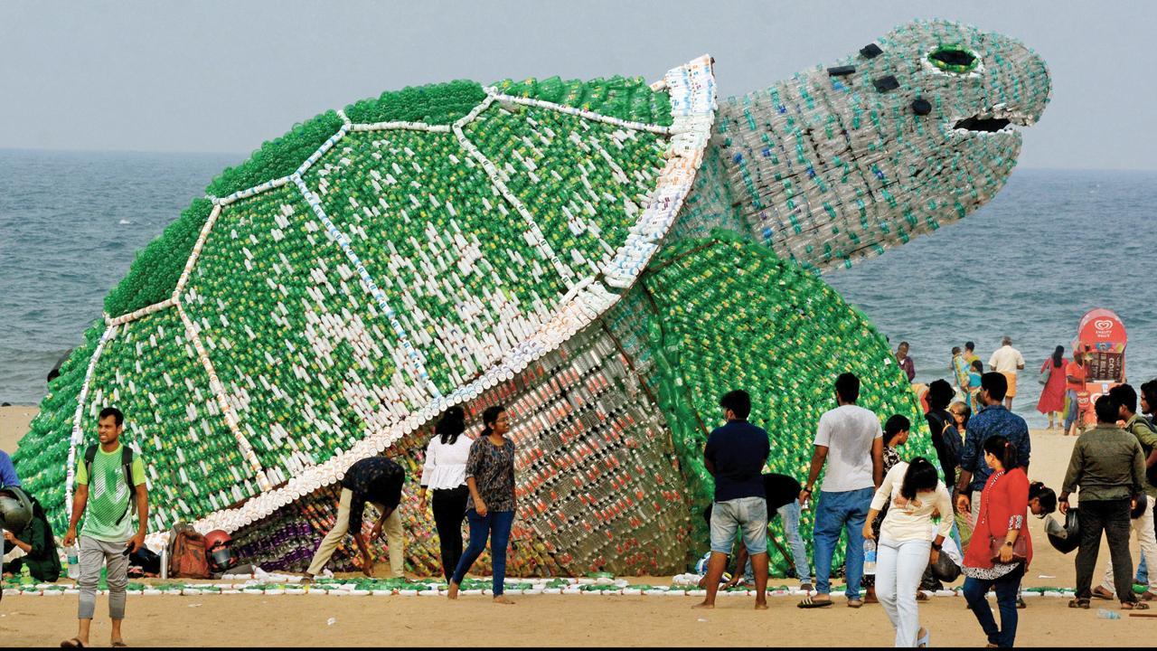 ગ્રીન કાચબા